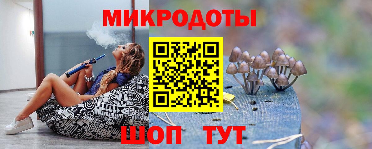 Галлюциногенные грибы Psilocybe  Вход с VPN  Муравленко 